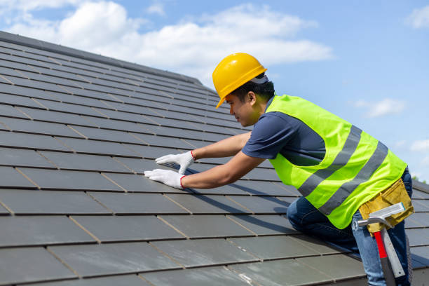 Best Roof Gutter Cleaning  in Evansburg, PA